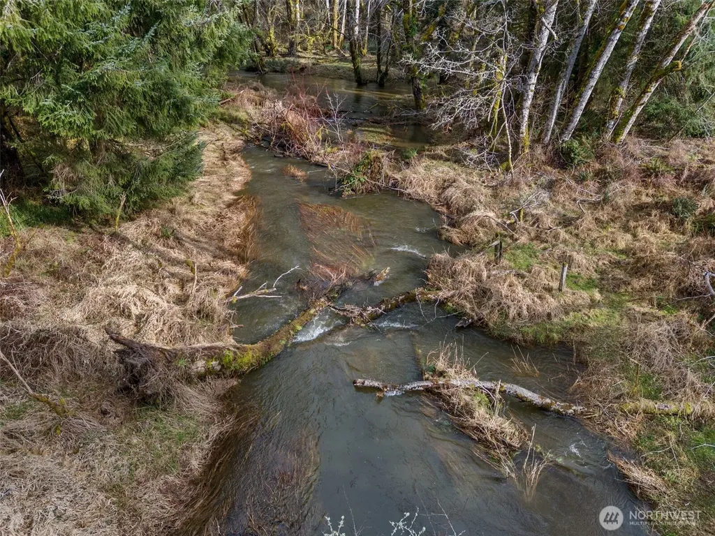 0 Rue Creek Road Raymond WA 98577