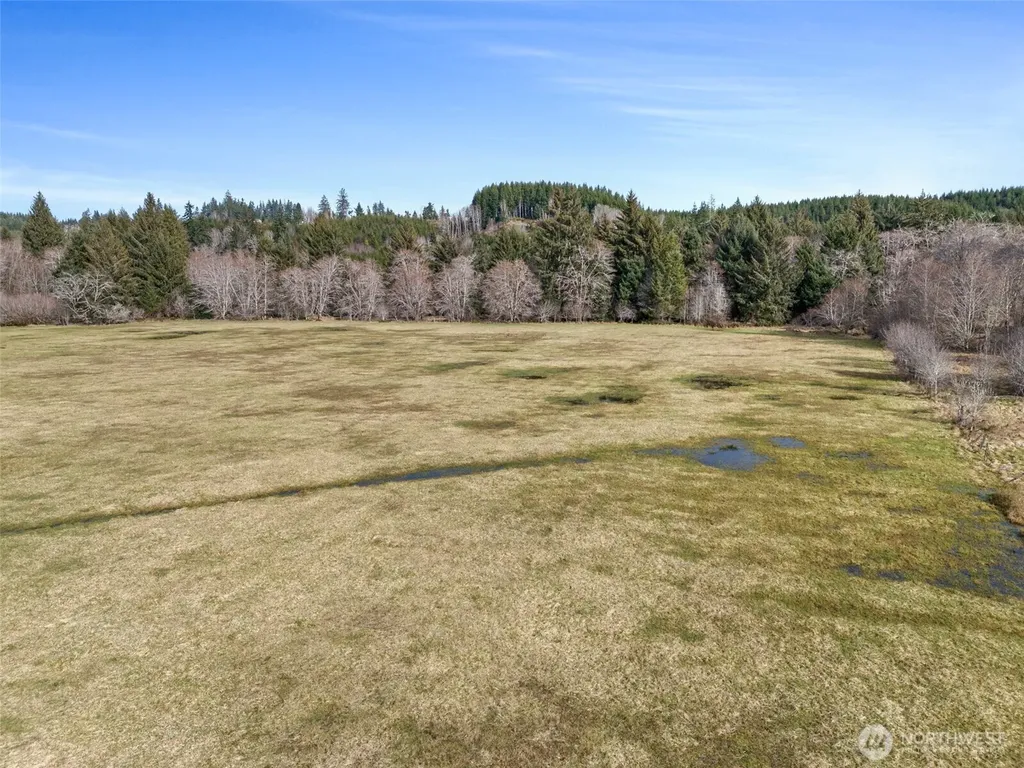 0 Rue Creek Road Raymond WA 98577