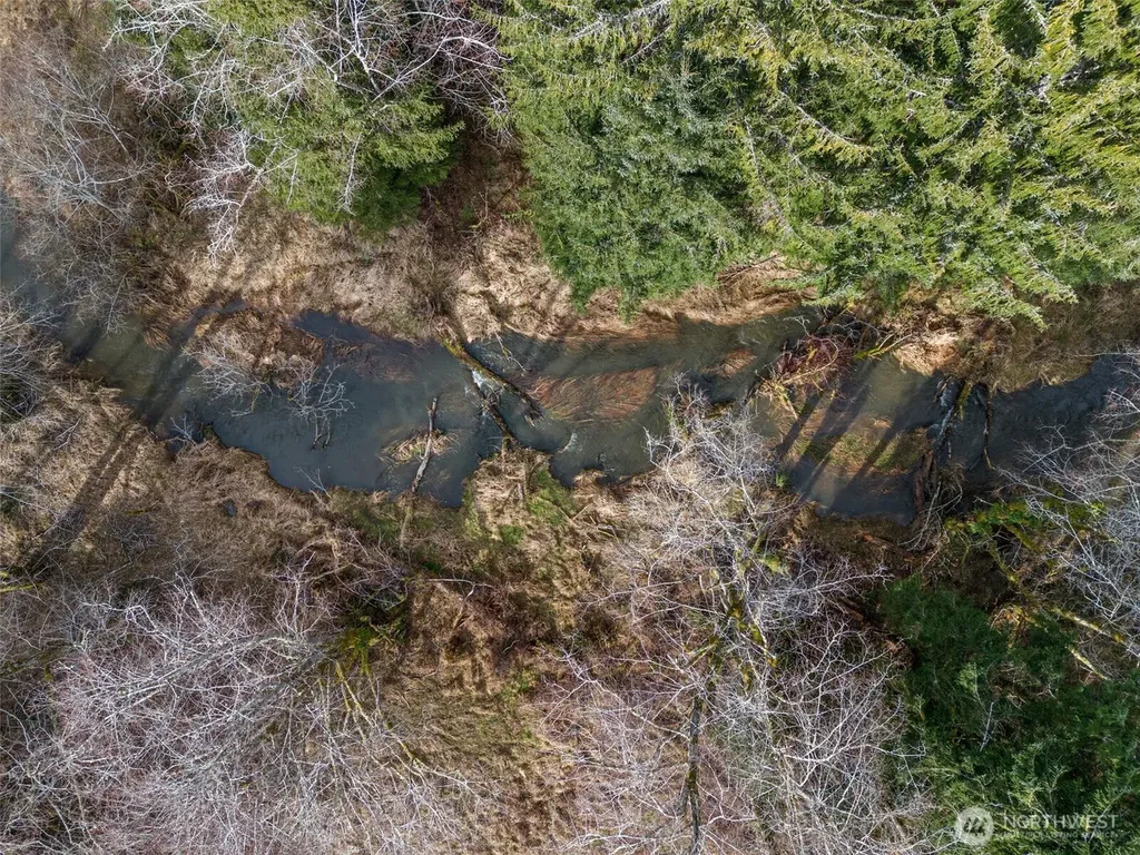 0 Rue Creek Road Raymond WA 98577
