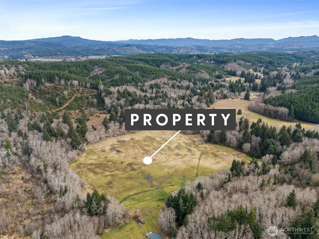 0 Rue Creek Road Raymond WA 98577