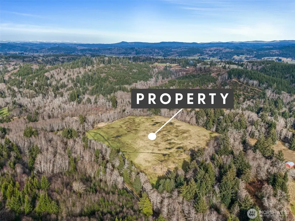 0 Rue Creek Road Raymond WA 98577