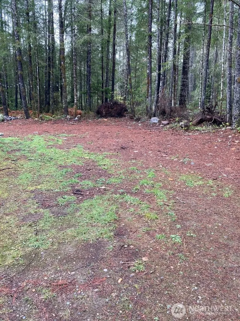 10 N Tyee Place Hoodsport WA 98548