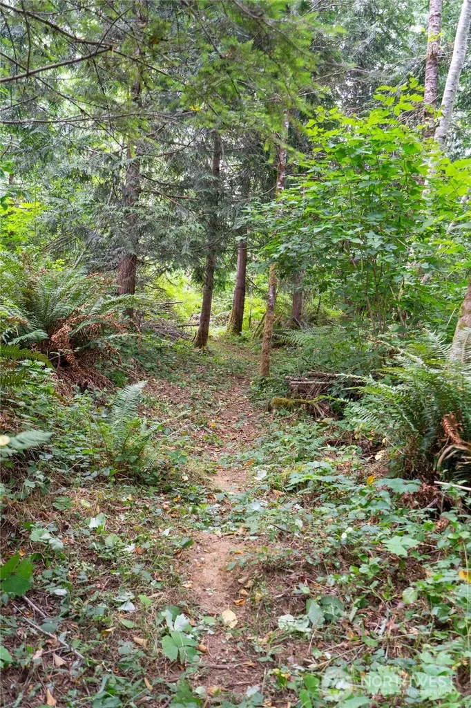 5 Meadowhills Lane Elma WA 98541