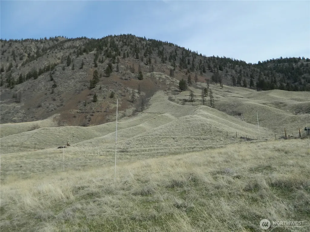 0 Mule Deer Loop Loomis WA 98827