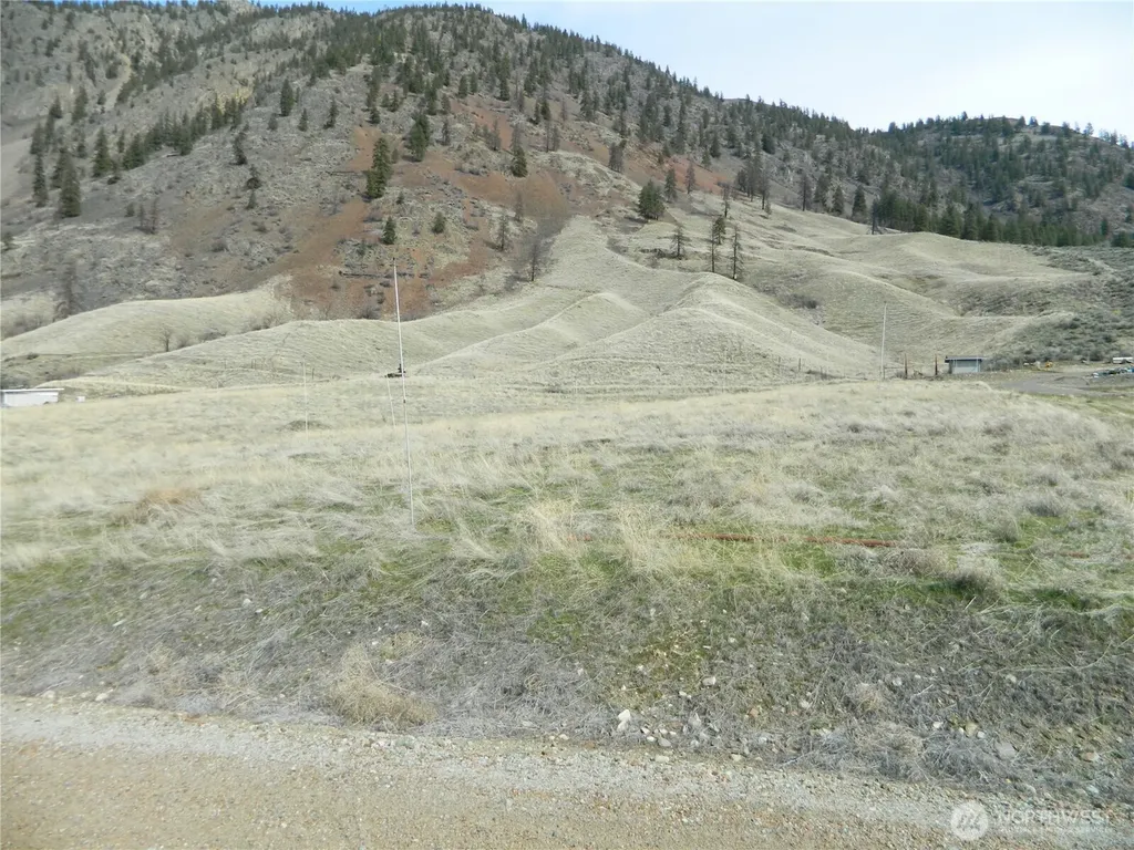 0 Mule Deer Loop Loomis WA 98827