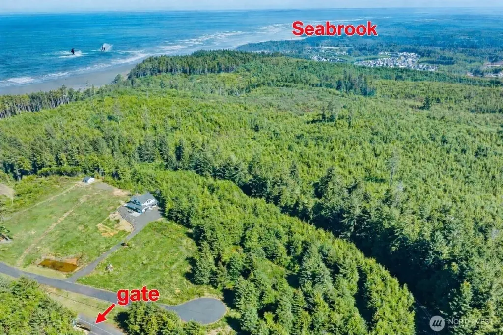 4 Chauncey Lane Pacific Beach WA 98571
