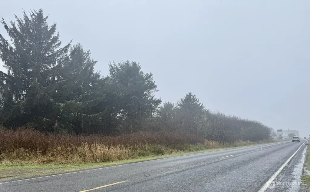 0 Damon Road Ocean Shores WA 98569