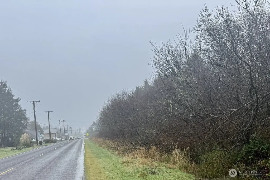 0 Damon Road Ocean Shores WA 98569