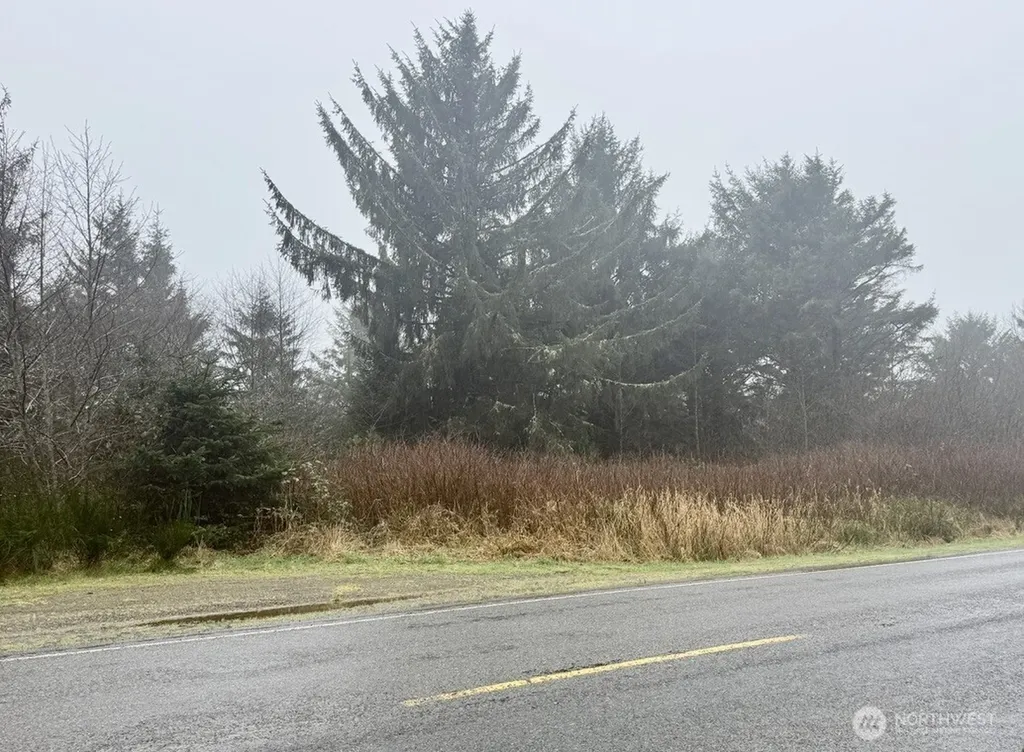 0 Damon Road Ocean Shores WA 98569