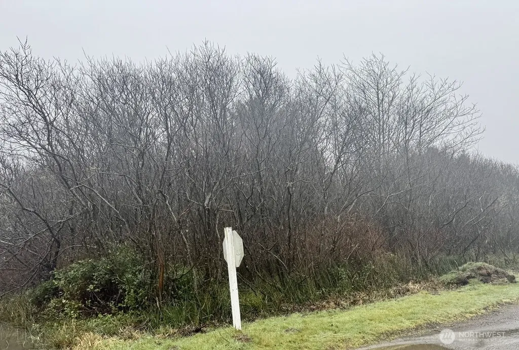 0 Damon Road Ocean Shores WA 98569