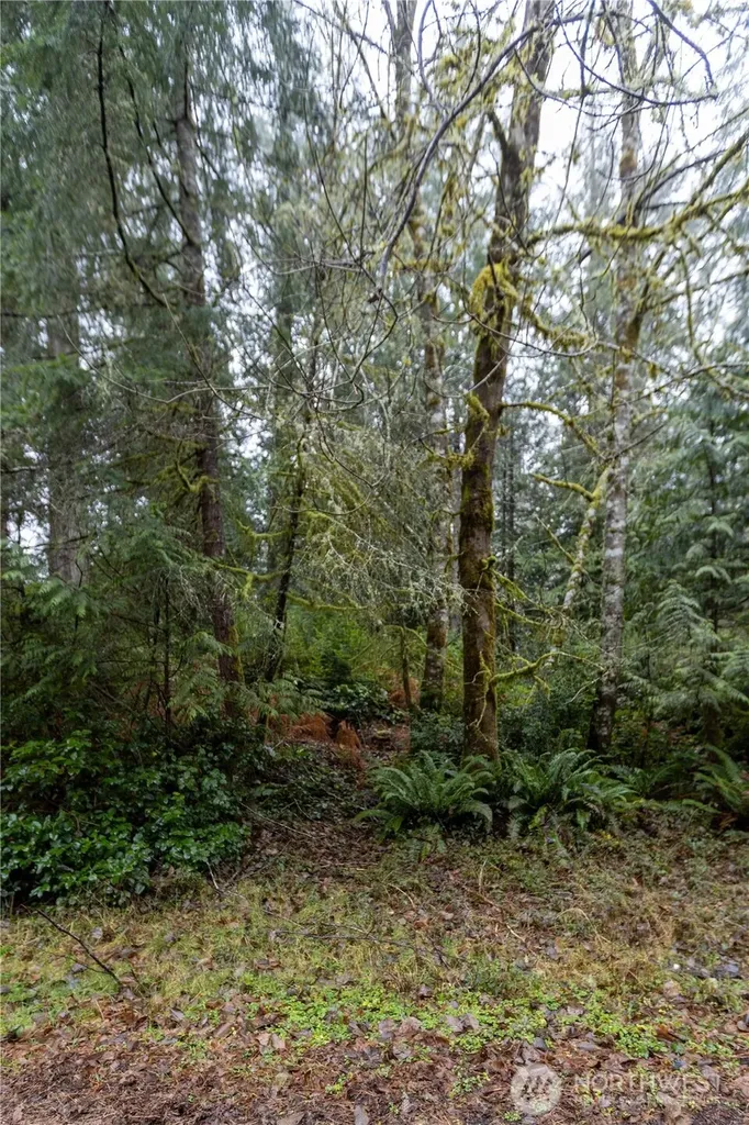 11416 86th Street Court Anderson Island WA 98303