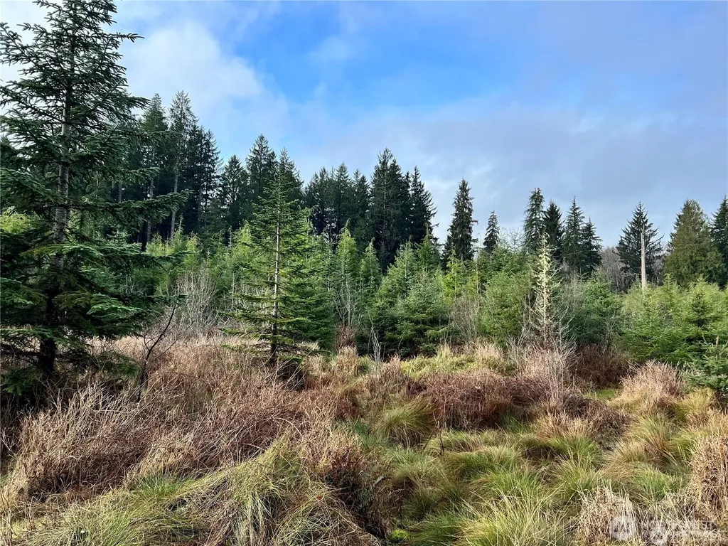 0 Highway 101 Cosmopolis WA 98537