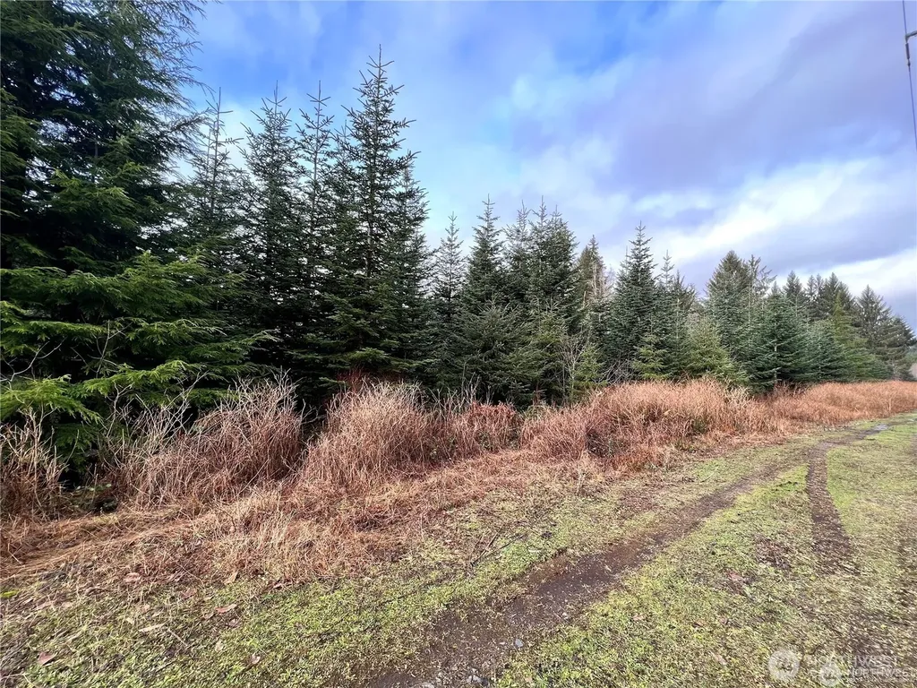 0 Highway 101 Cosmopolis WA 98537