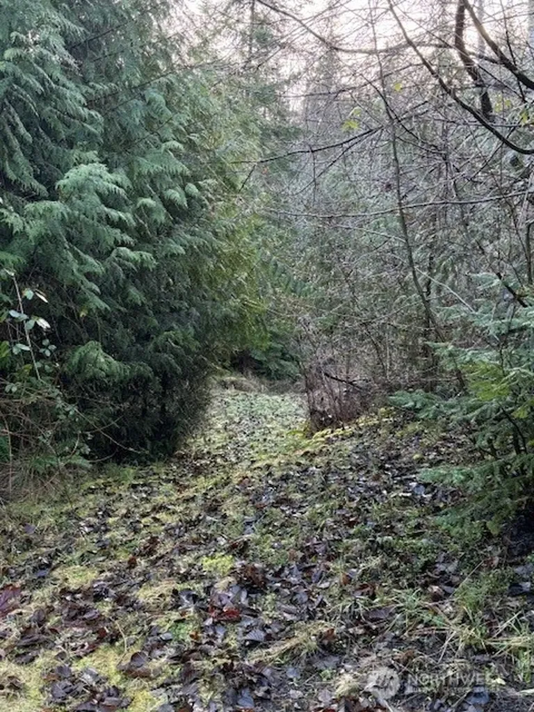 9999 Ferndale Drive Sequim WA 98382