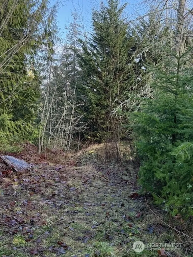 9999 Ferndale Drive Sequim WA 98382