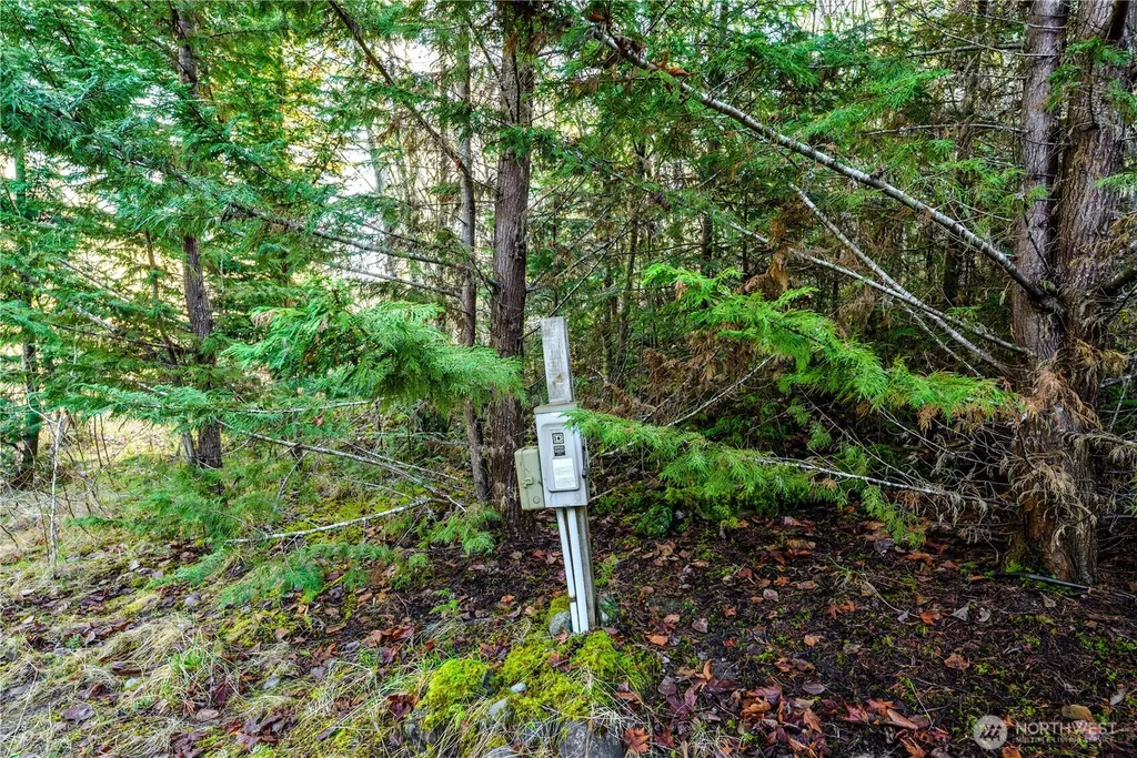 9999 Ferndale Drive Sequim WA 98382