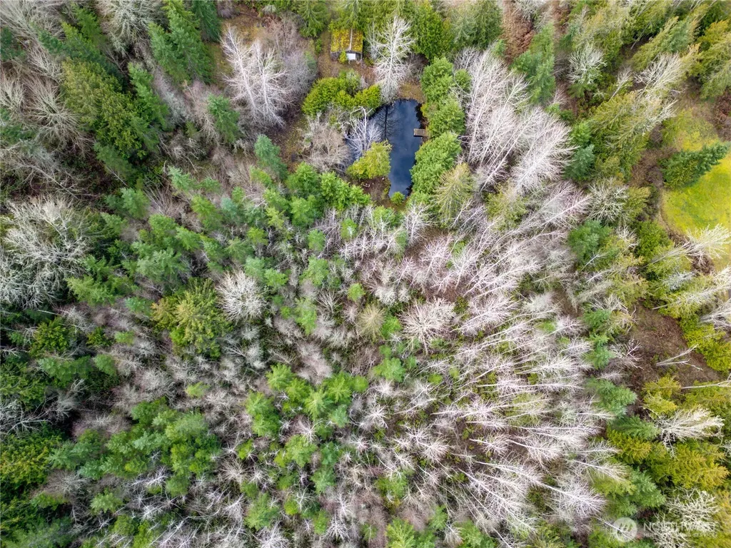 9999 Ferndale Drive Sequim WA 98382