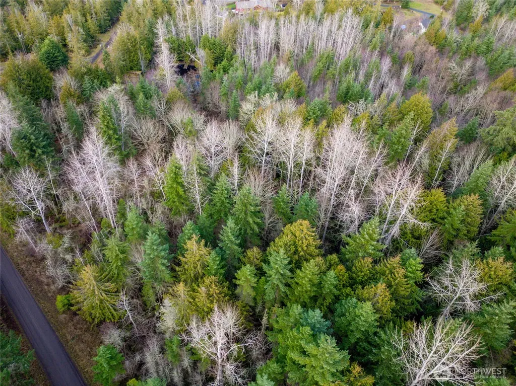 9999 Ferndale Drive Sequim WA 98382