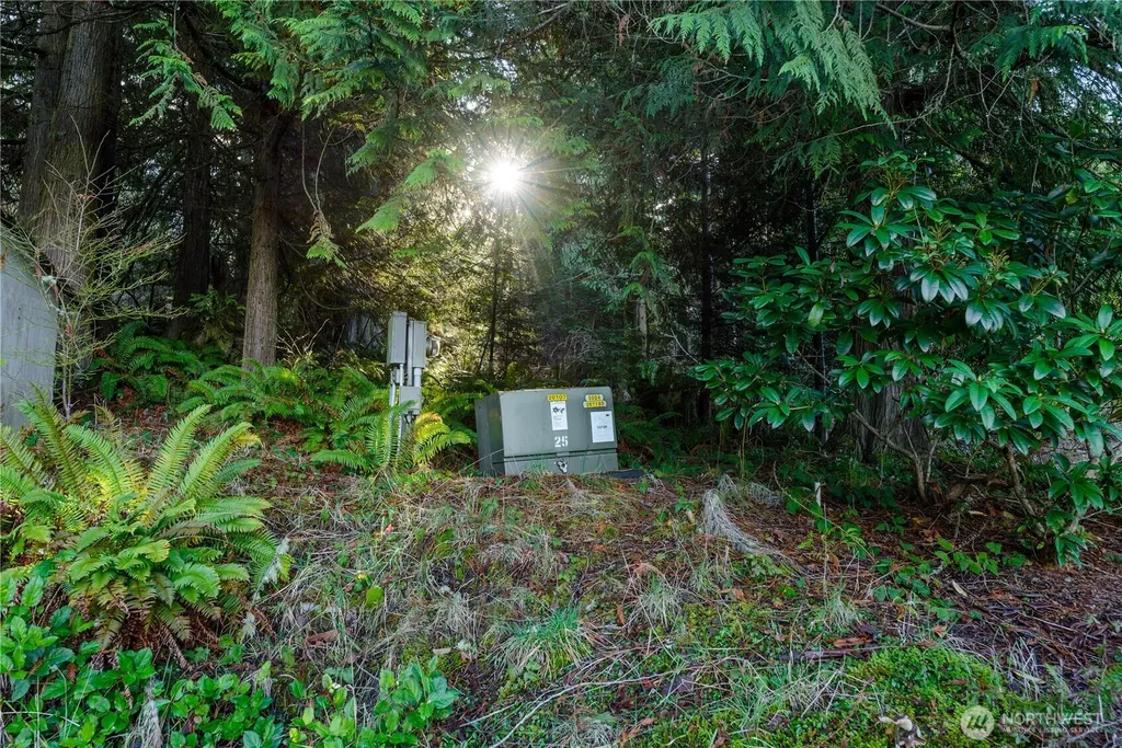 9999 Ferndale Drive Sequim WA 98382