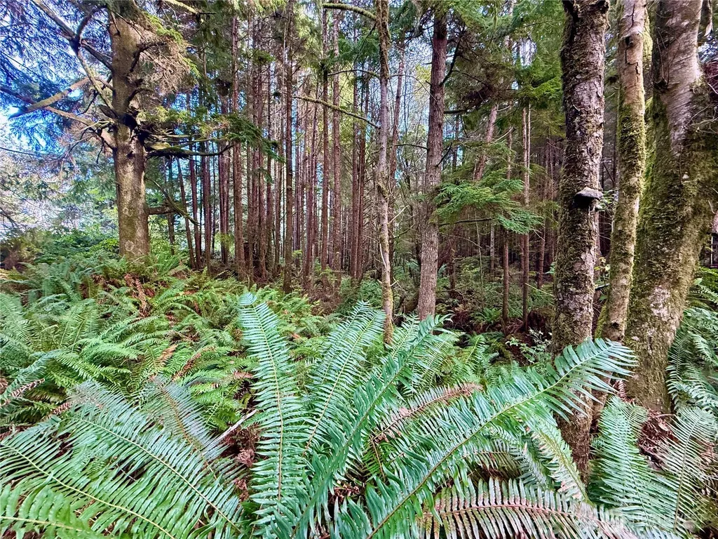 0 Copalis Beach Road Copalis Beach WA 98535