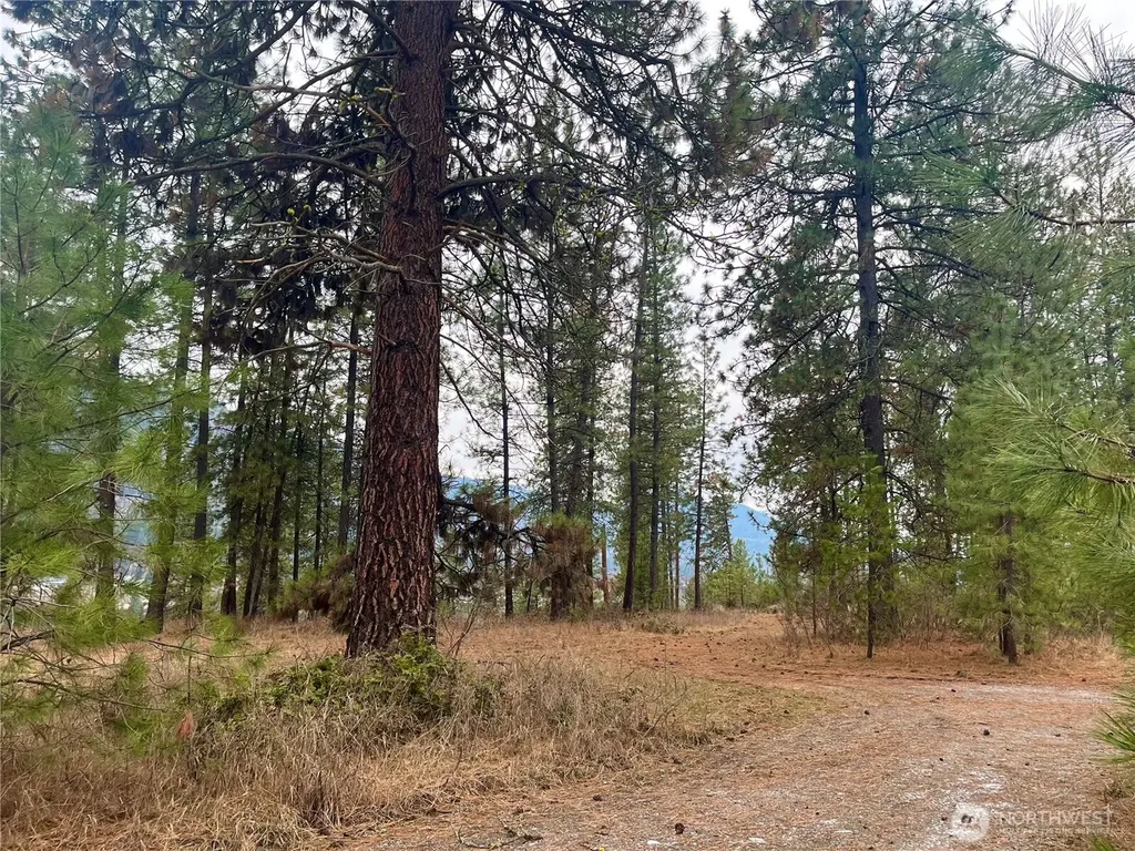 0 Northport Flat Creek Road Northport WA 99157