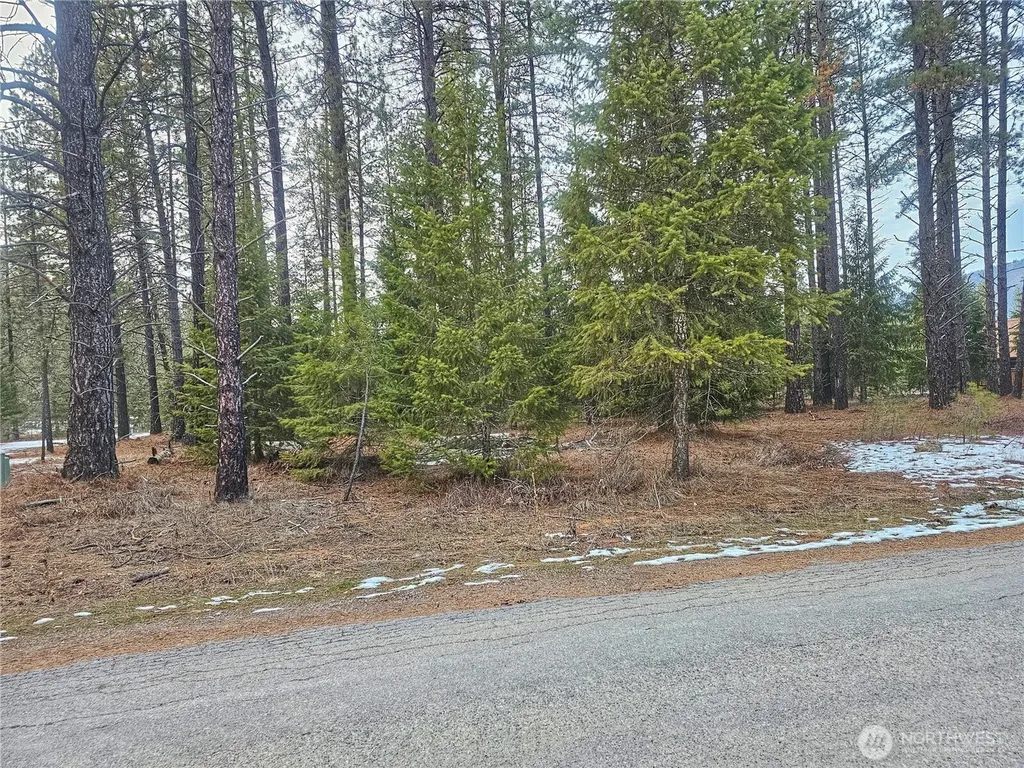 270 Eagle Drive Chewelah WA 99109