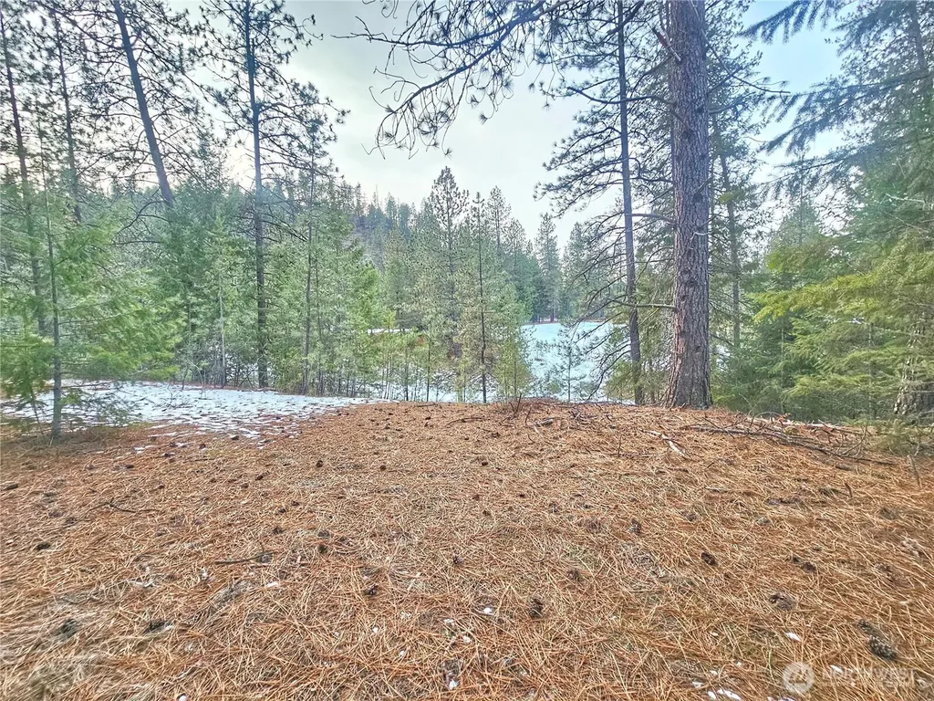 270 Eagle Drive Chewelah WA 99109