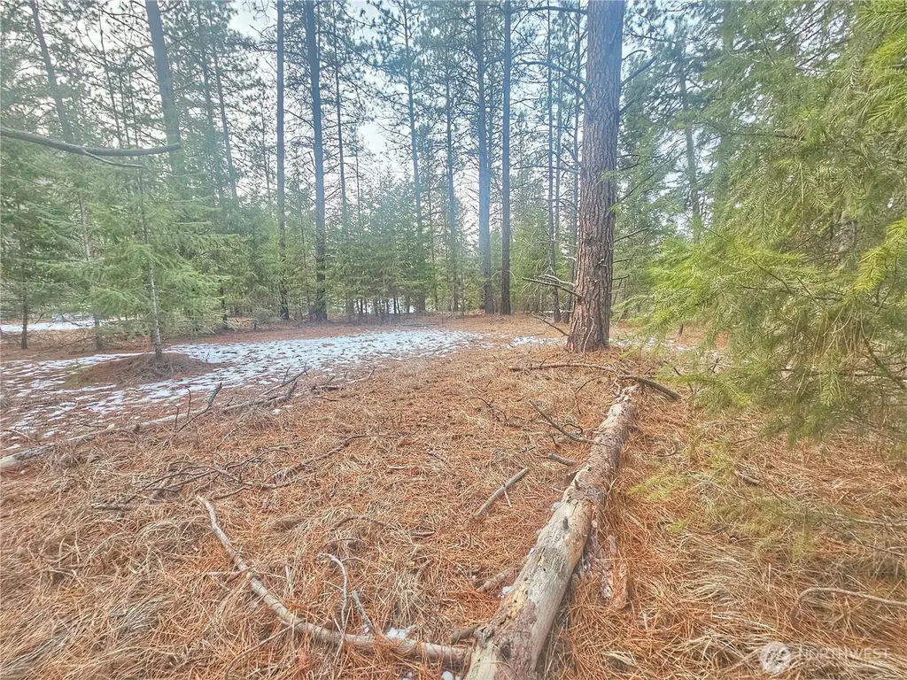 270 Eagle Drive Chewelah WA 99109