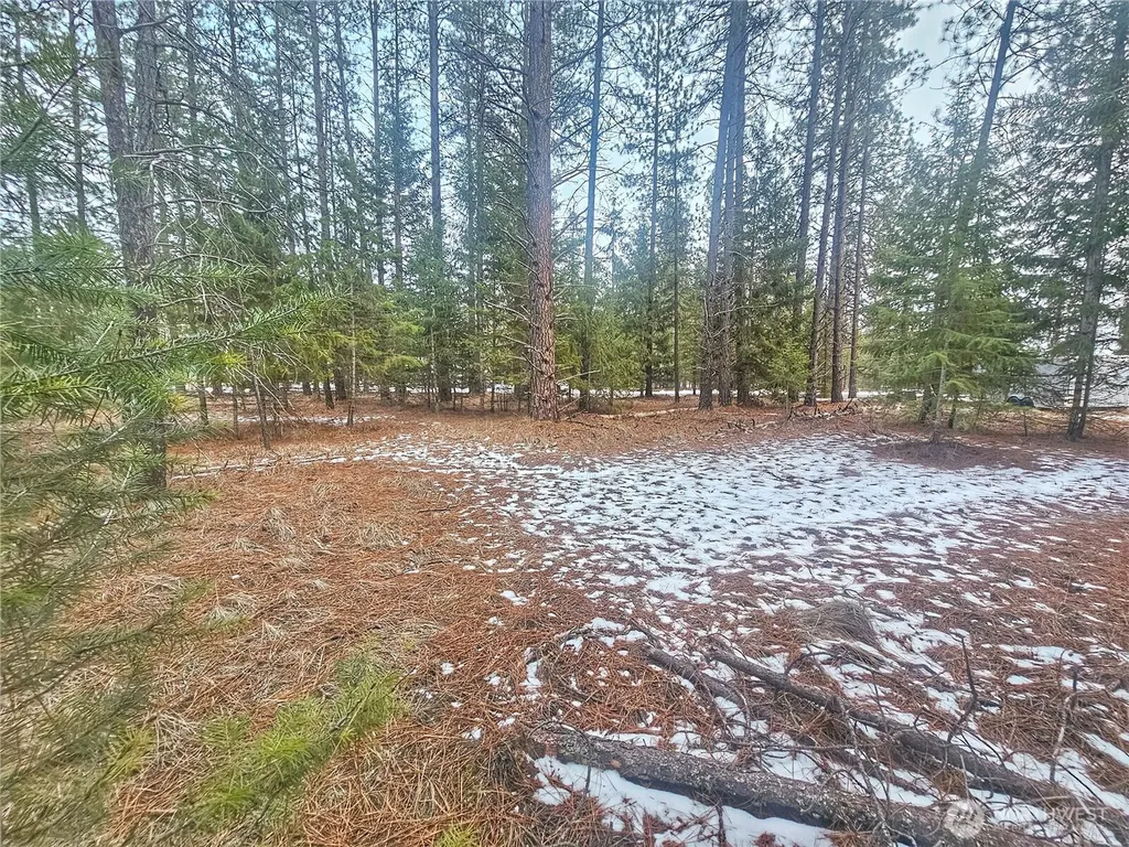 270 Eagle Drive Chewelah WA 99109