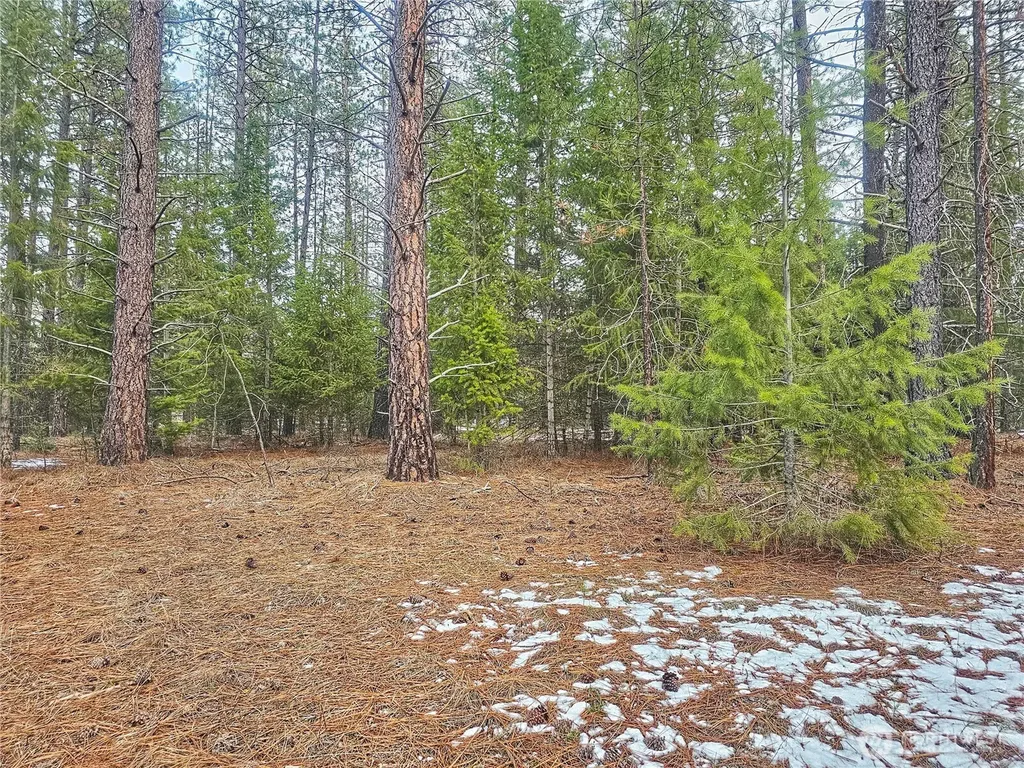 270 Eagle Drive Chewelah WA 99109