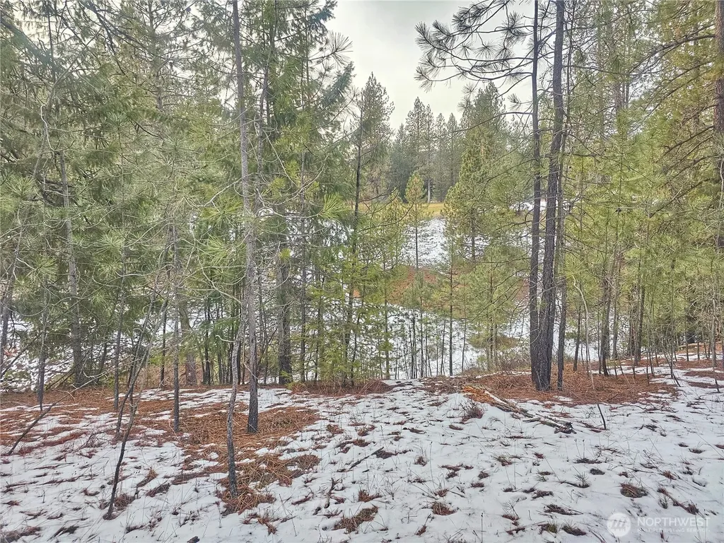 270 Eagle Drive Chewelah WA 99109