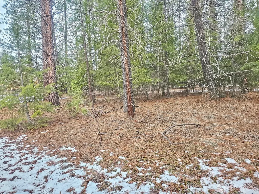 270 Eagle Drive Chewelah WA 99109