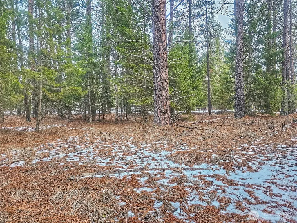 270 Eagle Drive Chewelah WA 99109