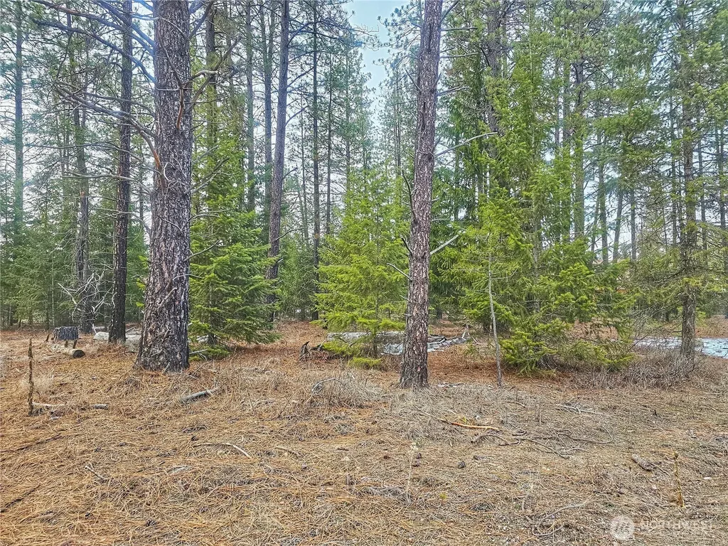 270 Eagle Drive Chewelah WA 99109