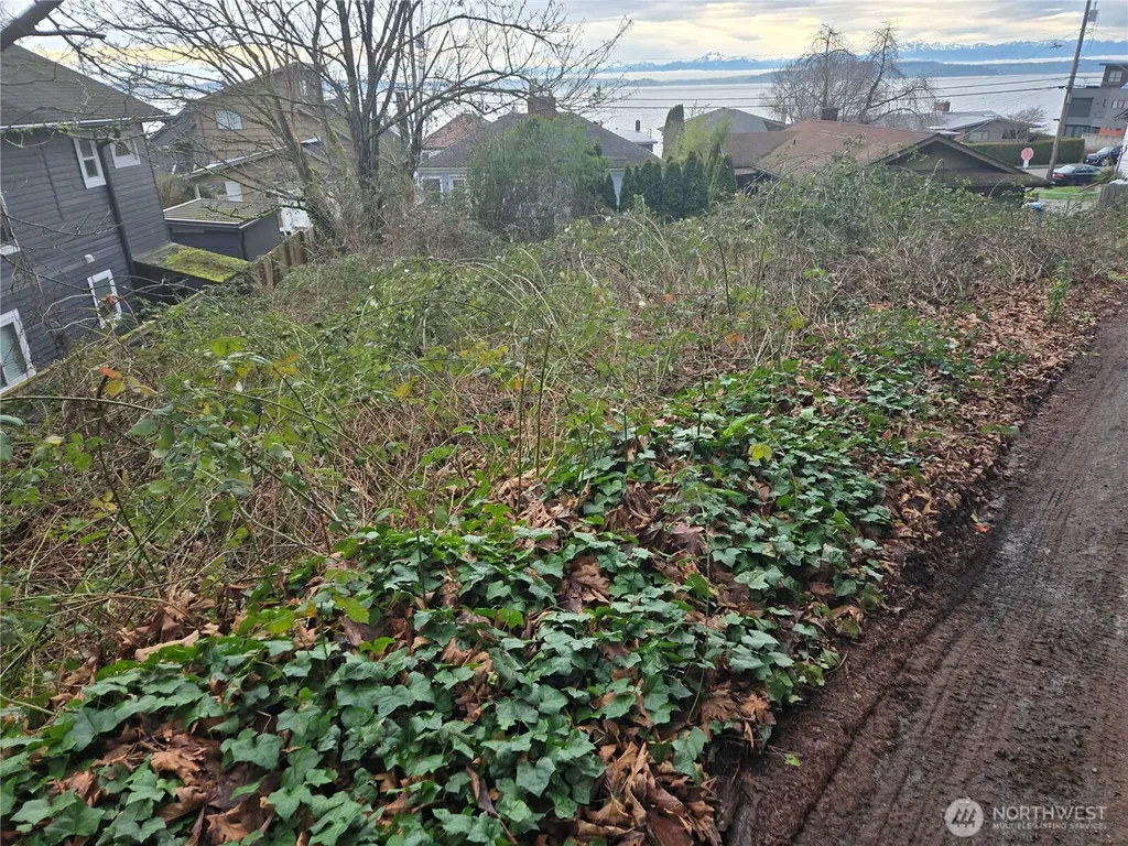 52 SW Canada Drive Seattle WA 98136