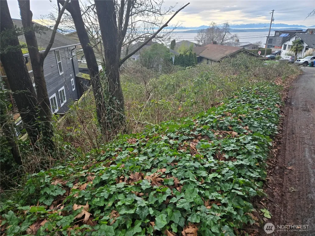 52 SW Canada Drive Seattle WA 98136