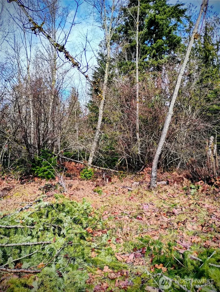 0 Holiday Lane Packwood WA 98361