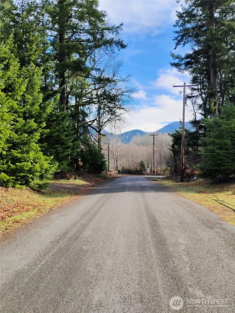 0 Holiday Lane Packwood WA 98361