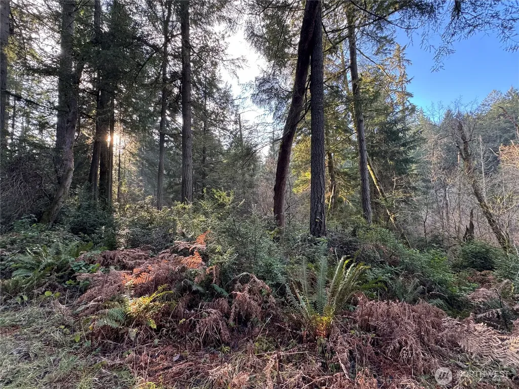 9606 Otso Point Road Anderson Island WA 98303