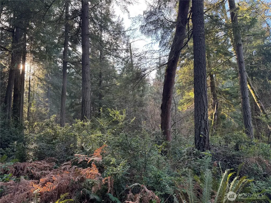 9606 Otso Point Road Anderson Island WA 98303