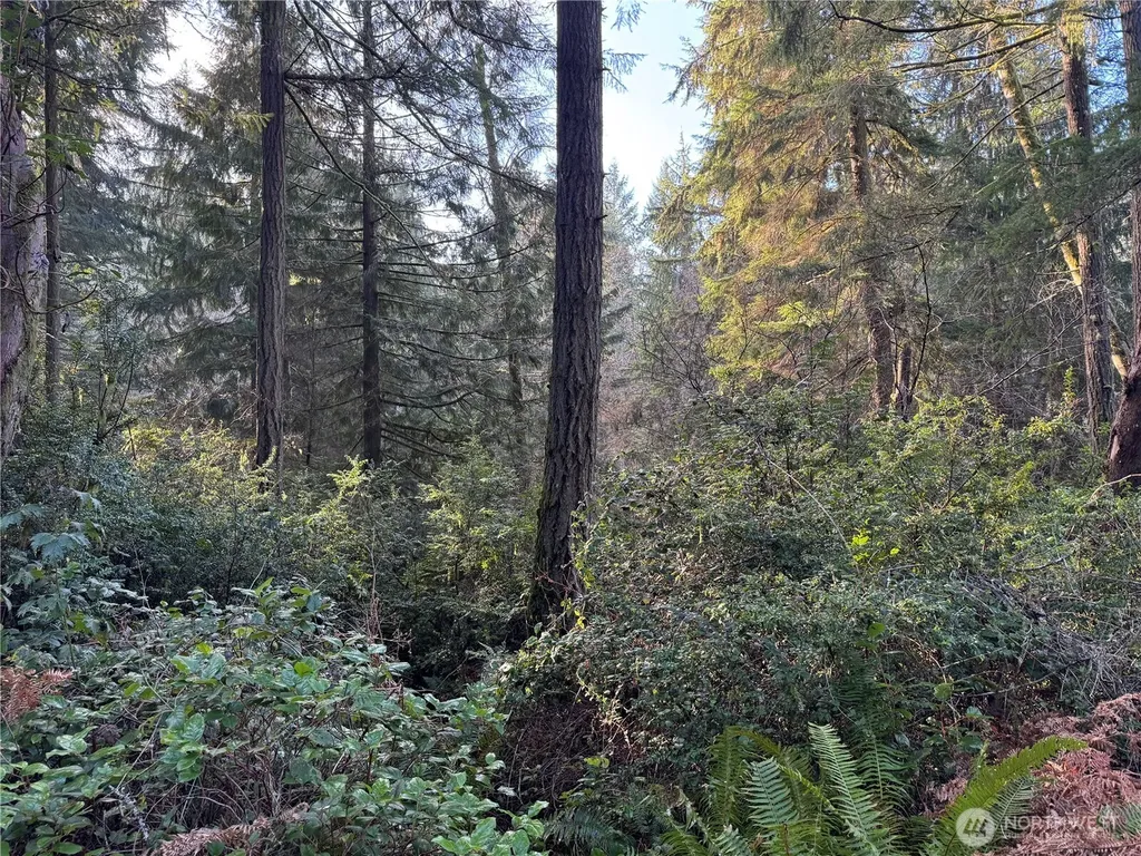 9606 Otso Point Road Anderson Island WA 98303