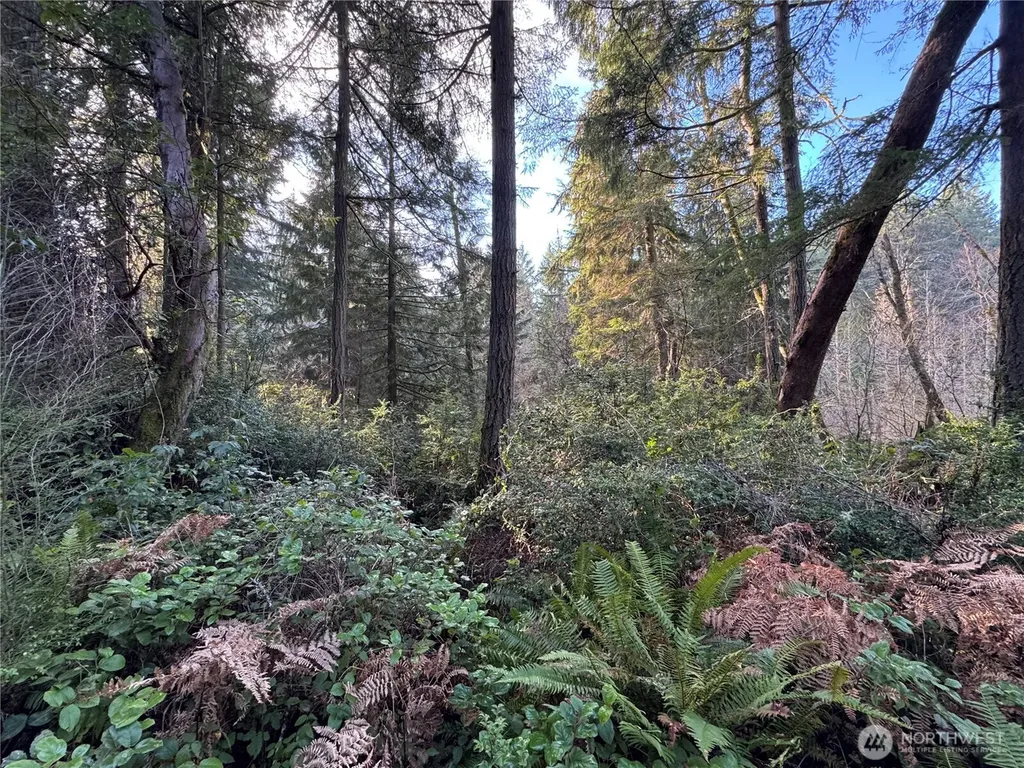 9606 Otso Point Road Anderson Island WA 98303
