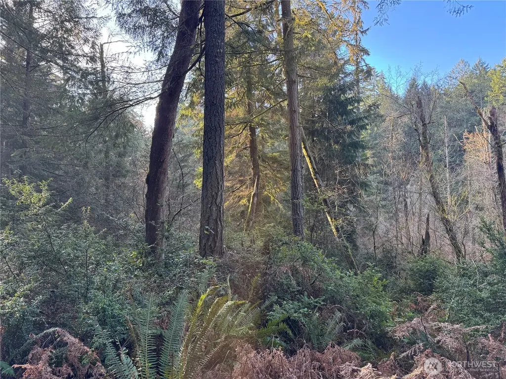 9606 Otso Point Road Anderson Island WA 98303