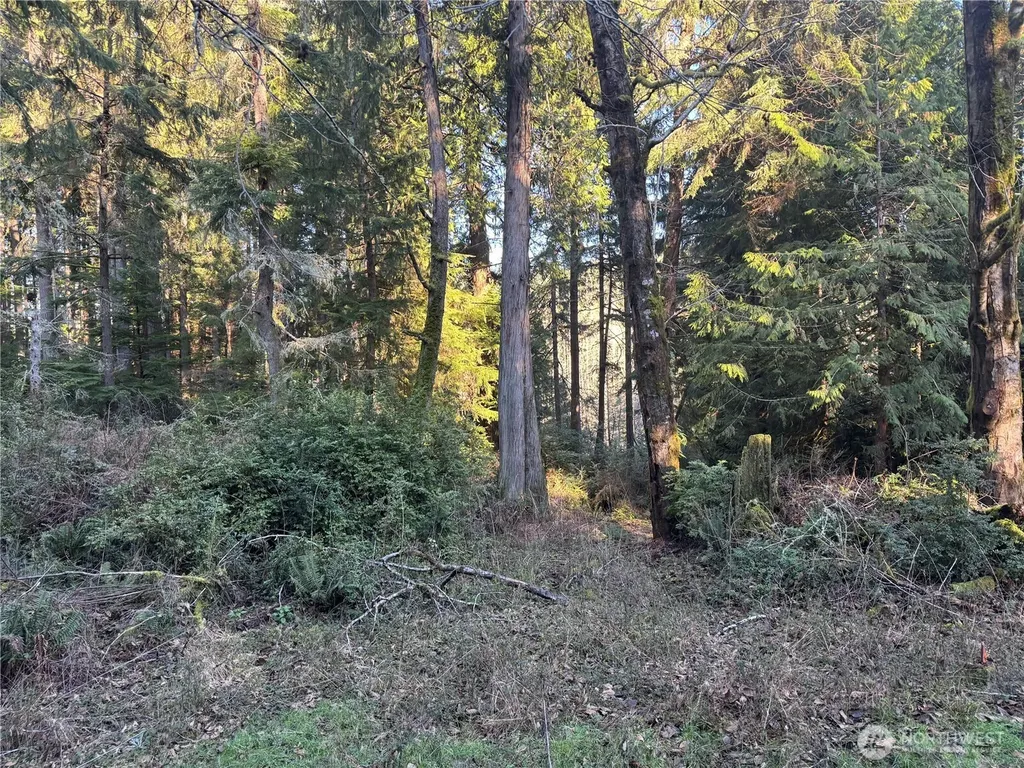 12719 & 12723 96th Street Court Anderson Island WA 98303