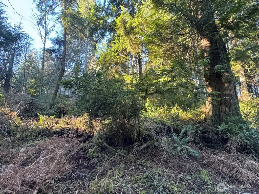 12719 & 12723 96th Street Court Anderson Island WA 98303