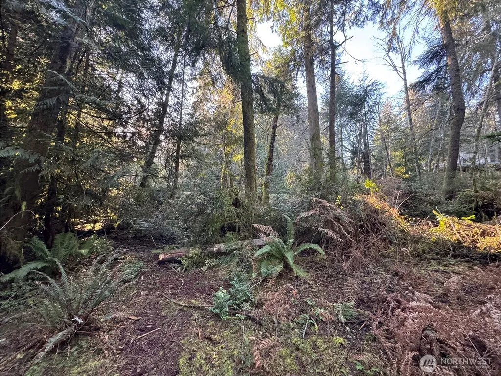 12719 & 12723 96th Street Court Anderson Island WA 98303