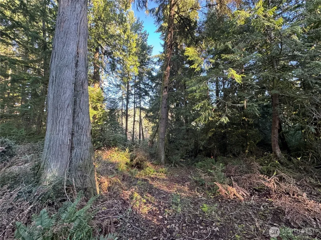 12719 & 12723 96th Street Court Anderson Island WA 98303