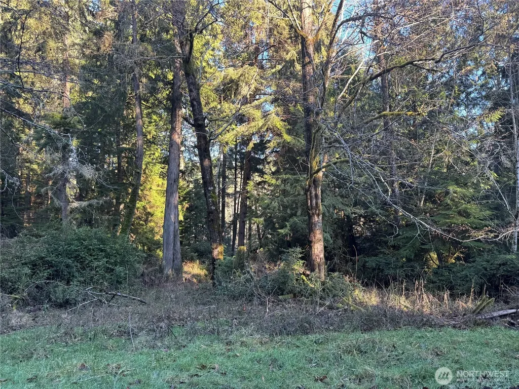 12719 & 12723 96th Street Court Anderson Island WA 98303