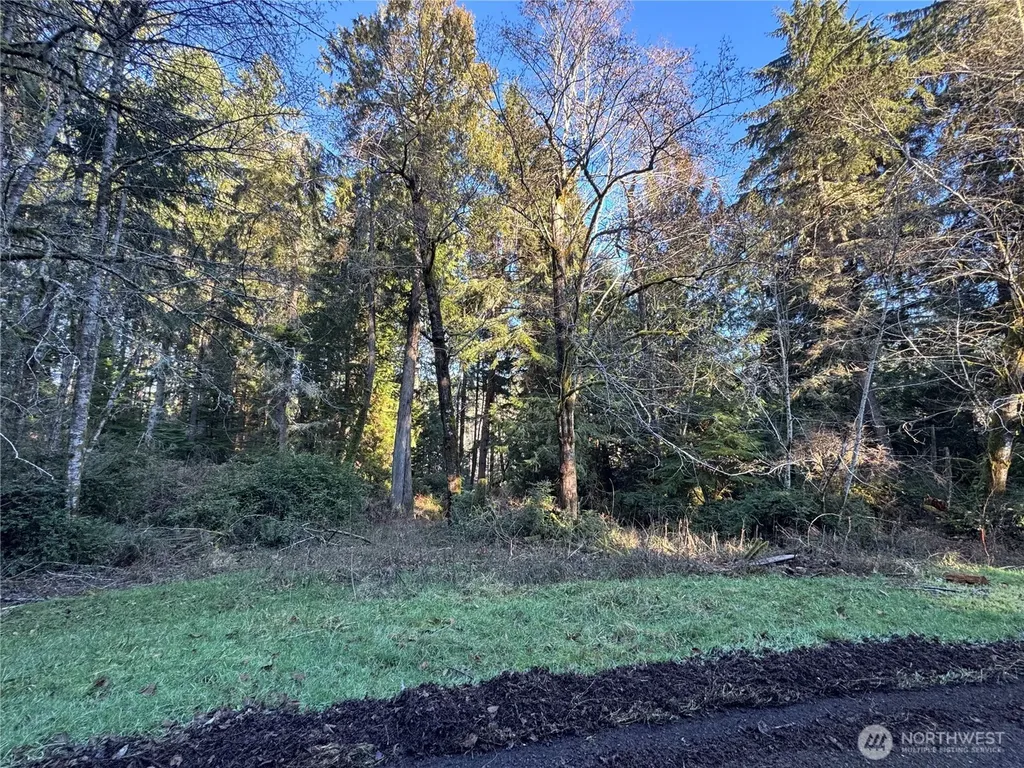 12719 & 12723 96th Street Court Anderson Island WA 98303