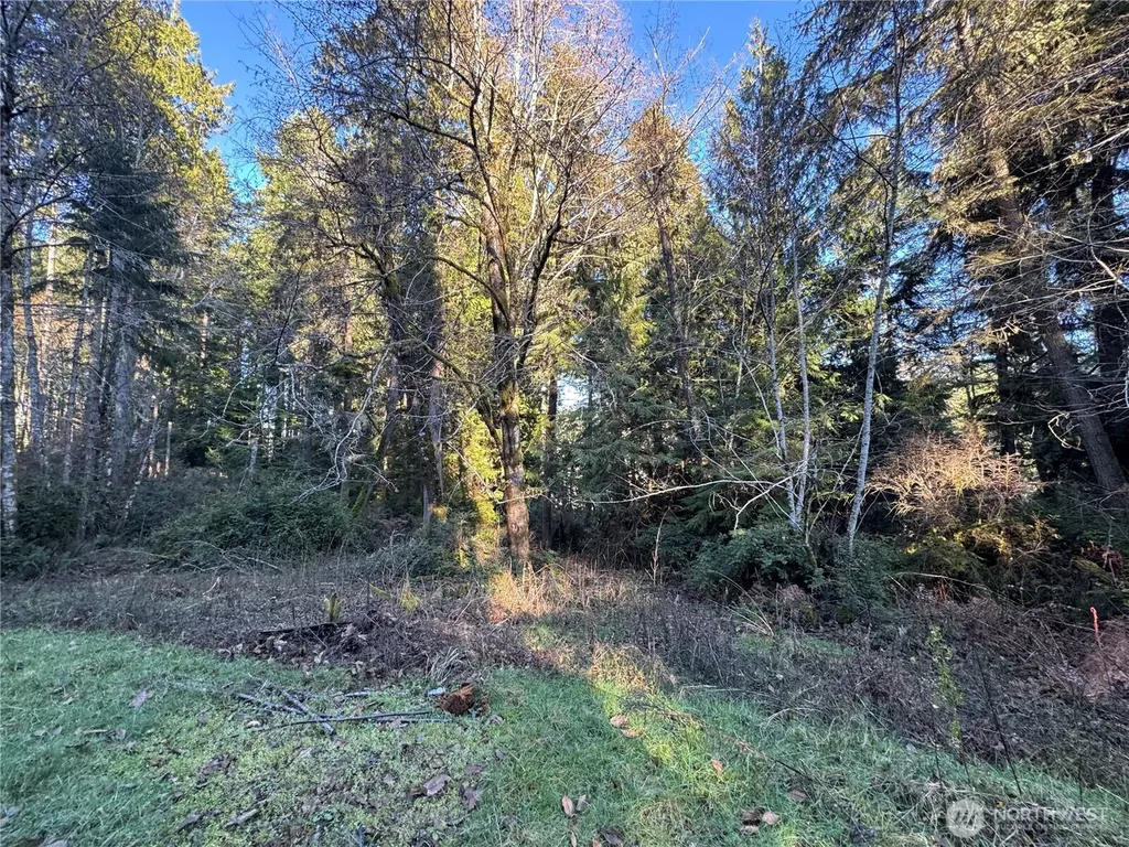 12719 & 12723 96th Street Court Anderson Island WA 98303
